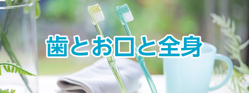 歯とお口と全身